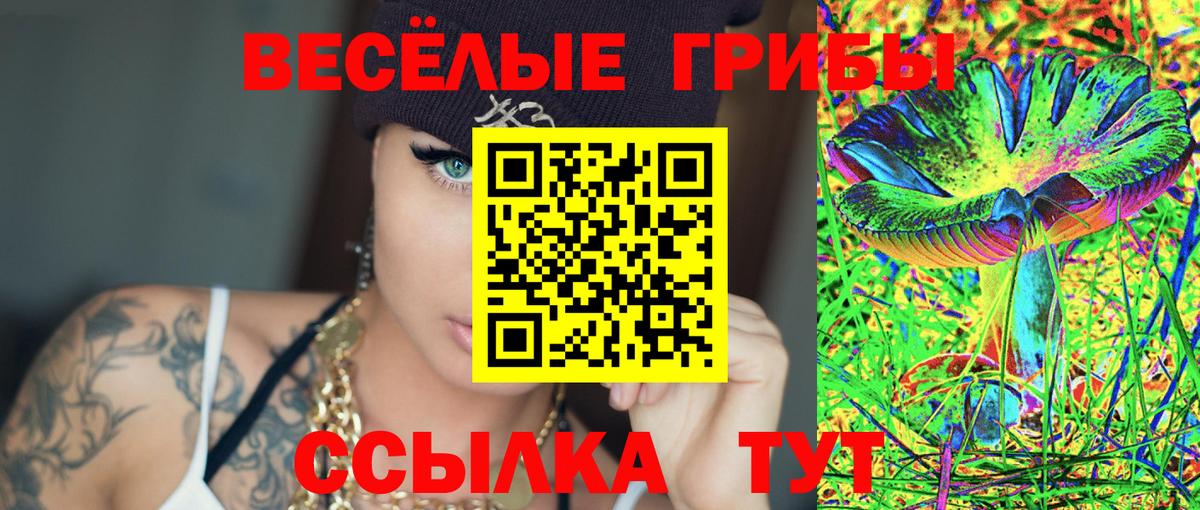 Усть-Лабинск  Галлюциногенные грибы ЛСД  Галлюциногенные грибы прущие грибы  Вход с VPN 