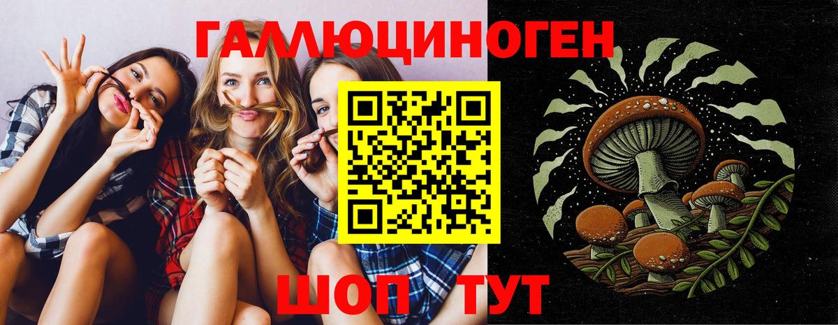 Псилоцибиновые грибы Psilocybine cubensis Усть-Лабинск